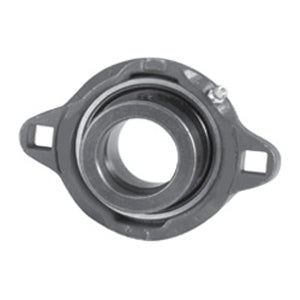 FXRWG216E Flange Block Bearings