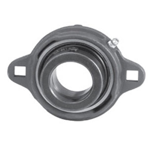 FXYG215N Flange Block Bearings