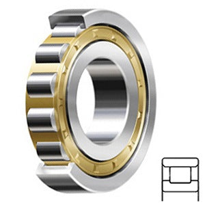 N314-E-M1-C3 Cylindrical Roller Bearings