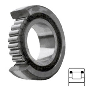 MUS1309TMW107 Cylindrical Roller Bearings