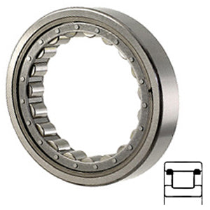 M1309TV Cylindrical Roller Bearings