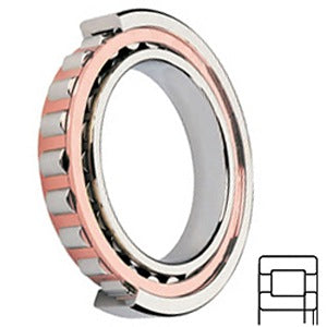 NUP2309-E-TVP2 Cylindrical Roller Bearings