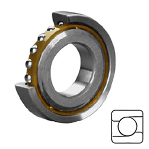 BST55X120-1BL1P4 Precision Ball Bearings